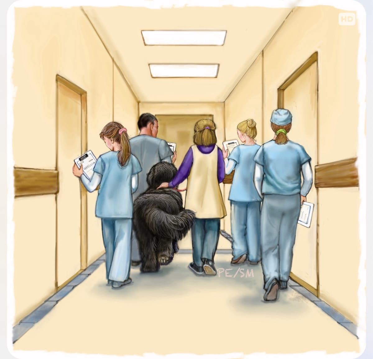 Meeting with Illustrator