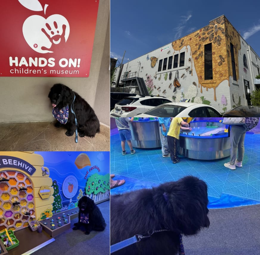 Children's Museum