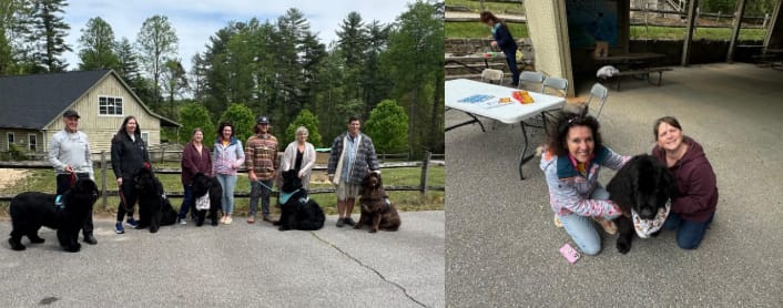 Author, Illustrator and Newfies... oh my!